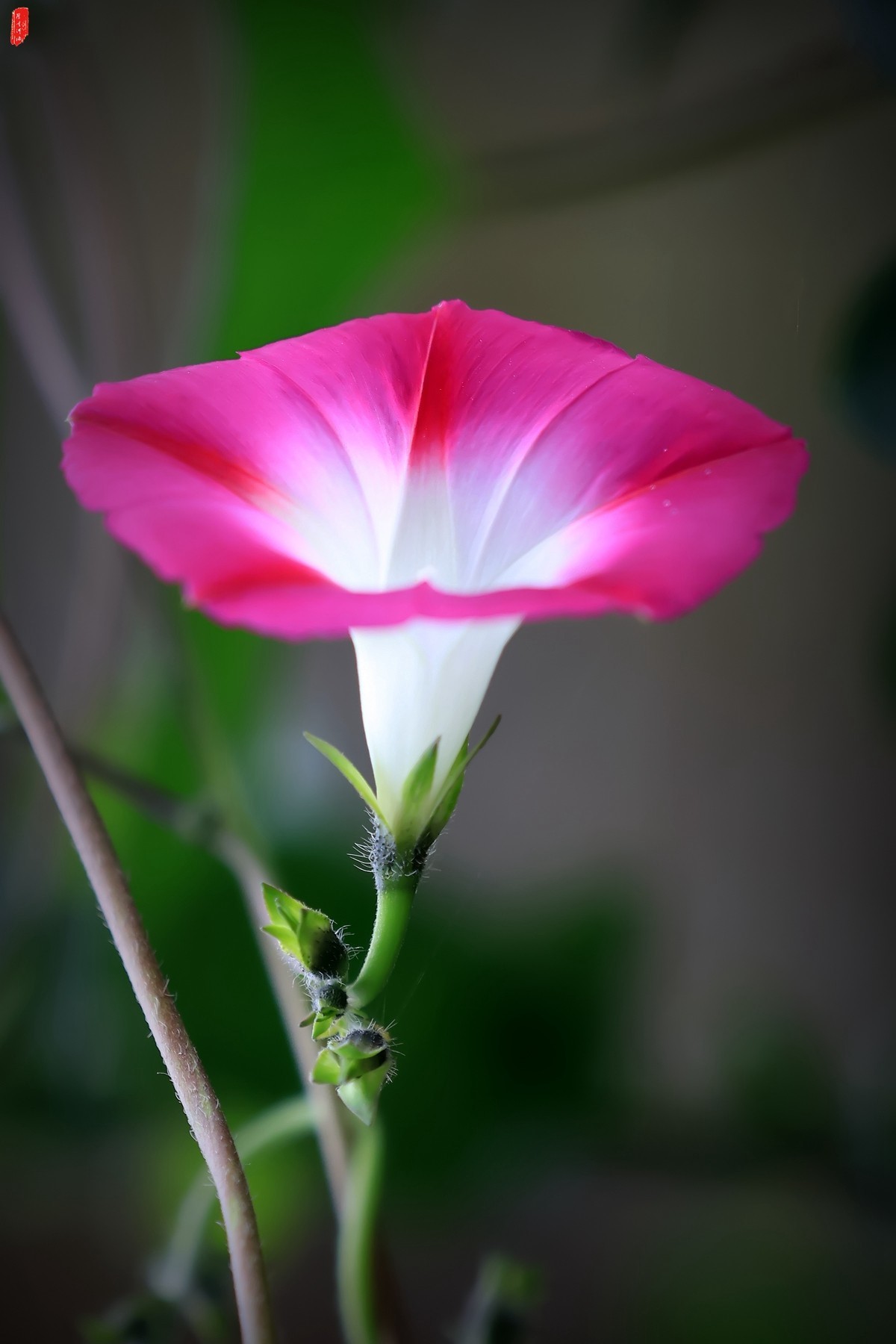 牽?；ㄐ∮? />
</span>
<span id=